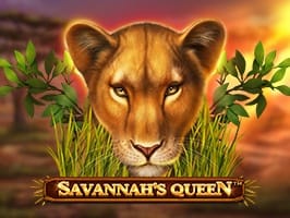 Savannahs Queen screenshot